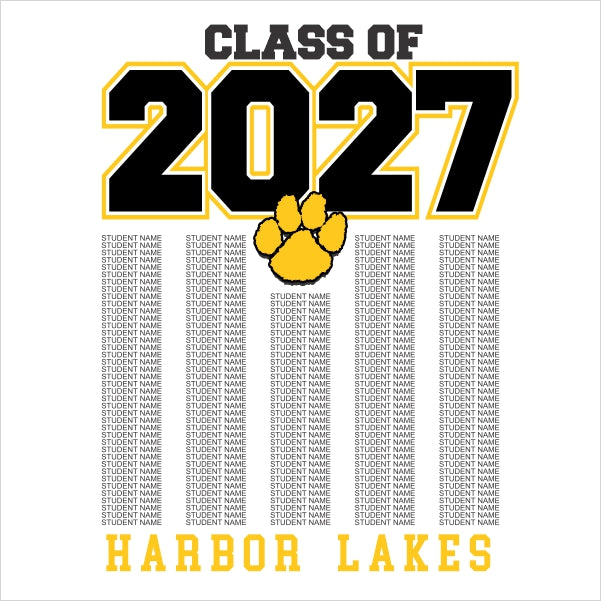 Senior Class of 2027 Shirt Design Template 29