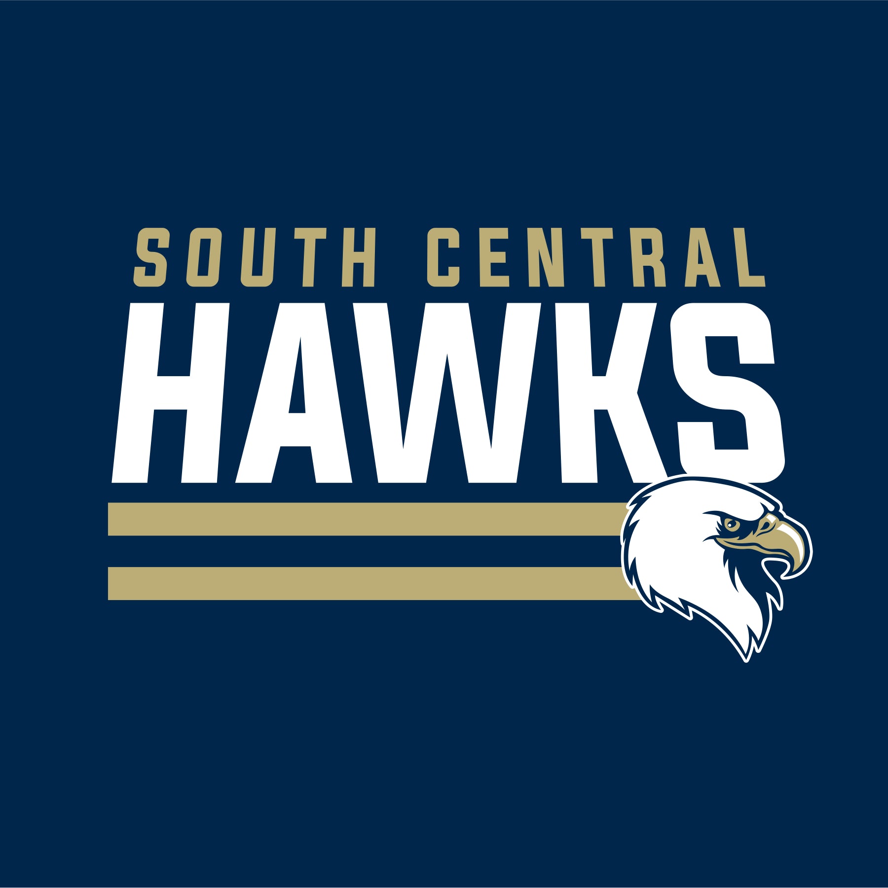Bold typography hawk mascot school spiritwear design template for school apparel