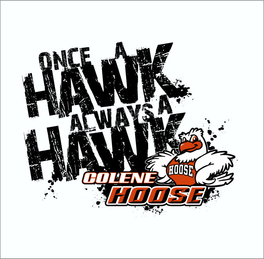 Distressed hawk mascot school spiritwear design template for t shirts and hoodies