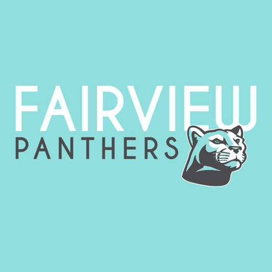School spiritwear design featuring panther head and clean modern typography