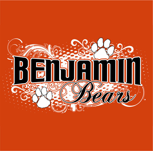 Custom school spiritwear design featuring bold school name, mascot, and school colors